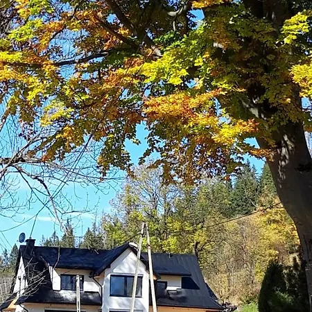 Plazowka *