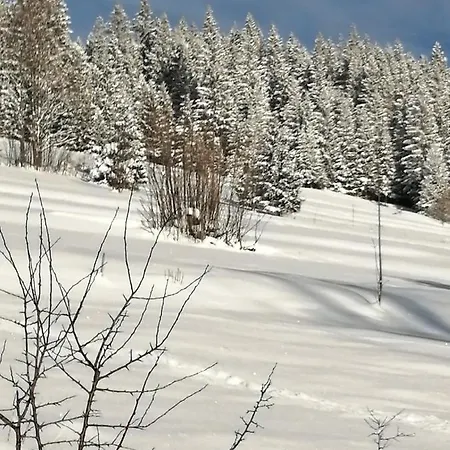 Plazowka Косцелиско
