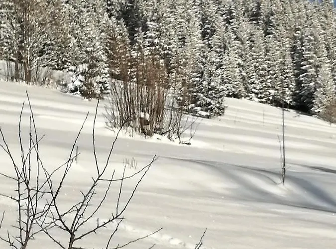 Plazowka קושצ'ליסקו